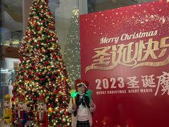 -上海浦东康桥绿地假日酒店