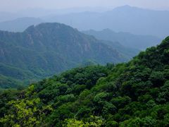 -大岭沟猕猴桃谷风景区