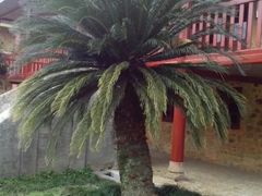 景点-毛泽东寻乌调查纪念馆