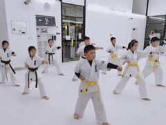 -极真空手道修远道场