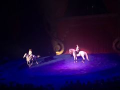 -珠海横琴长隆《卡卡虎奇遇记》