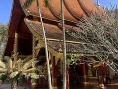 -西双版纳傣族园