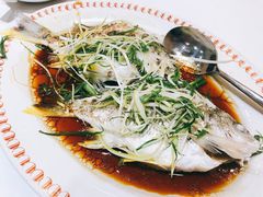 -凤城礼记鱼翅海鲜酒家(新马路总店)