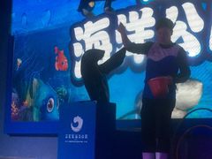 -石家庄海洋公园