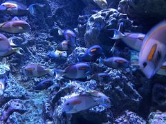 -成都浩海立方海洋公园