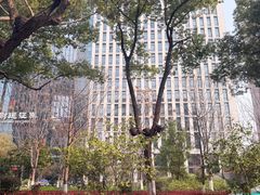 -杭州黄龙洞