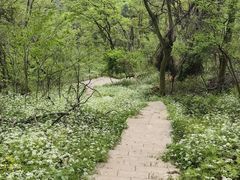 -南京老山国家森林公园