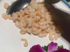 清炒虾仁-金典银峰老鹅馆·昆山菜(亭林公园店)