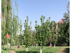 -元大都城垣遗址公园