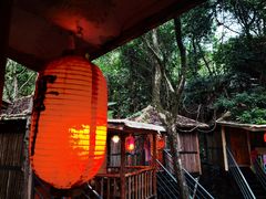 -天门沟九州驿站树上汤泉