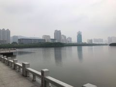-白鹭洲公园