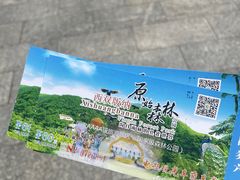 -西双版纳原始森林公园