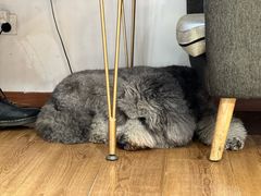 -沏点Trattoria意大利餐厅(新街口店)