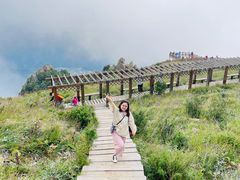 -白草畔自然风景区