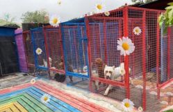 -萌宠亲子动物乐园(槐房万达店)