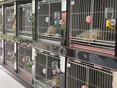 -翊宠yipet猫狗购宠庄园犬舍•猫舍