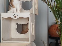 -Cappucimeow猫咪咖啡馆(韦伯时代店)