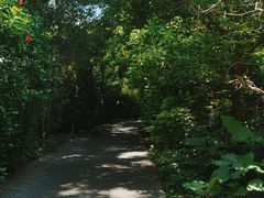 -华侨城湿地公园