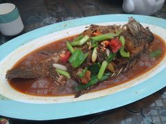 -阿鹏故事云南野生菌火锅(人民路店)