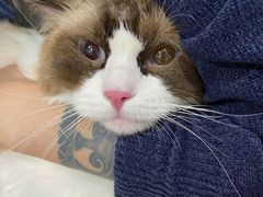 -Oh My Dog宠物沙龙(伊珊娜皮毛护理店)