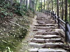 -冶父山国家森林公园