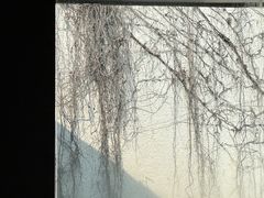 -villaa·别墅·融合菜西餐厅