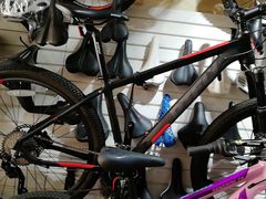 -道路口单车爱瓦士dahon大行