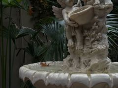 -Osteria Garden 生蚝花园餐厅(原进贤路店)