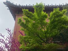 -南京钟山宾馆(江苏省会议中心)