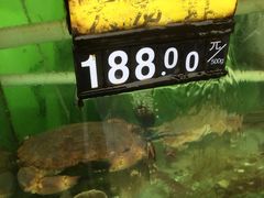 -四海鲜渔家菜(黄金海岸店)