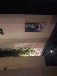 -盘子女人坊古装写真摄影(天津总店)