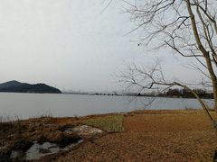 -东湖落雁景区