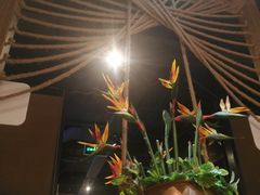 -云海肴·云南小炒·汽锅鸡(天津国金汇店)