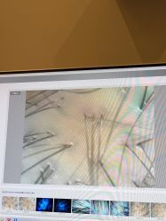 -史云逊养发护发