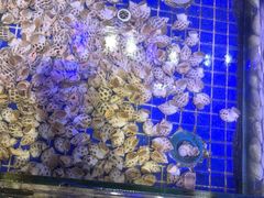-青蓬蒸汽海鲜·深圳老字号·团建聚会(壹方城店)