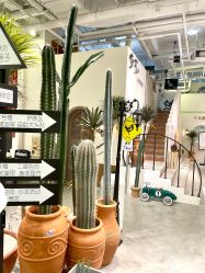 -好看加白色房子