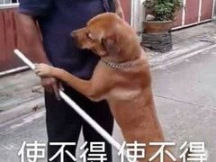 -喜家德虾仁水饺(马栏店)