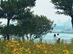 -小麦岛公园