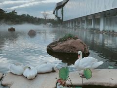 -罗红摄影艺术馆