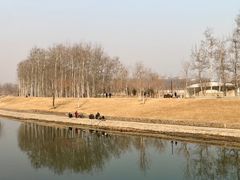 -坝河休闲公园