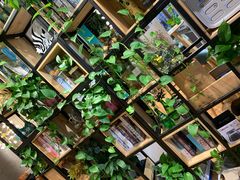 -ZING COFFEE 镜咖啡