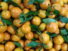 -全而廉(靖宇中路店)