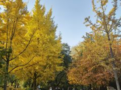 -迎泽公园