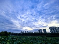 -南宁南湖公园