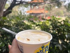 -广州莲花山旅游区