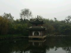 -水绘园