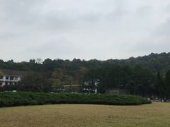 -临安城遗址(太庙遗址)