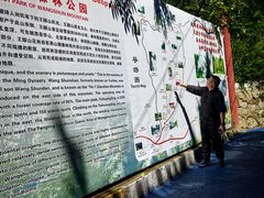 -王顺山国家森林公园