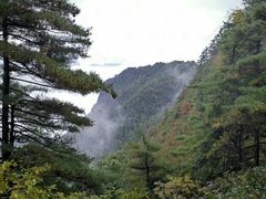 -秦岭天竺山景区