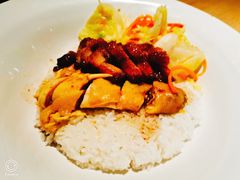 蜜汁叉烧拼切鸡-大家乐(佛山普君店)